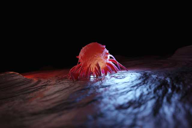 «Нарушения в их работе могут спровоцировать онкологию»: биолог — о роли митохондрий клетки