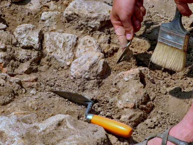 Ветхий артефакт: российские учёные определили состав материала поясных пряжек древних кочевников хунну