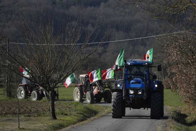 «Эффект лавины»: как развивается ситуация вокруг массовых протестов фермеров в странах Евросоюза