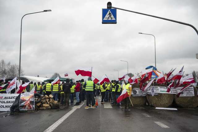 Зерно раздора: как развивается ситуация вокруг протестов польских фермеров