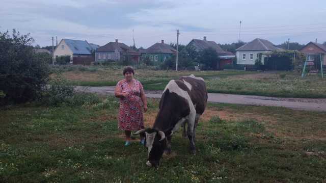 «Это наши люди, наша земля»: как россияне помогают вывозить жителей из приграничных районов Курской области